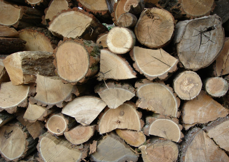 what firewood should i use & fireplace service in Overland Park KS