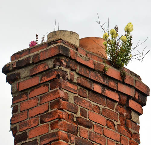 Chimney water damage & leaky chimney repair in Prairie Village KS